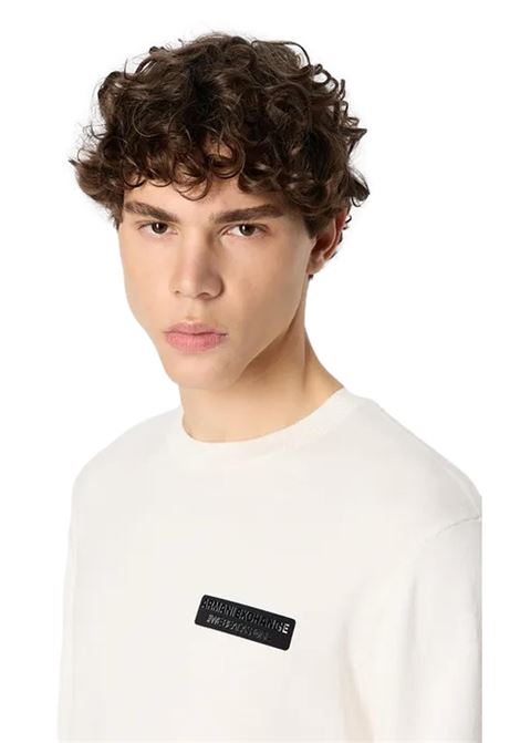 Armani Sustainability Values Pullover ARMANI EXCHANGE | sweaters | 6RZM1E ZMX8Z1116